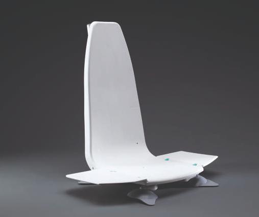 Neptune Bathlift