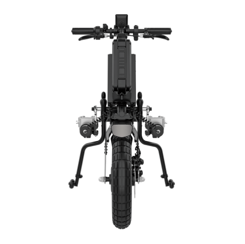 Paws Cruiser 16"